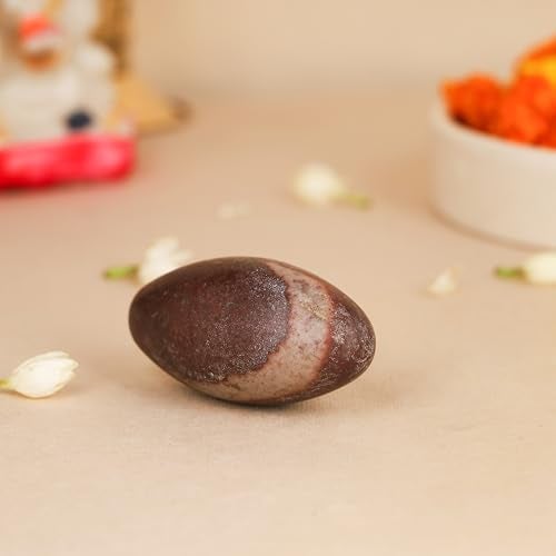 Dharmsaar Brass Narmadeshwar Shivling Original for Home Pooja, Golden Shiv Linga Decorative Sheshnaag Showpiece with Jalhari Base, Puja Kalash Shivling Religious Stone (1 pcs) - Image 3