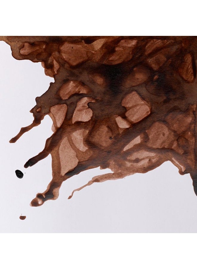 WINSOR & NEWTON حبر رسم، 0.5 أونصة، بني خث - Image 2