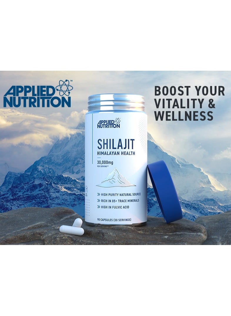 Shilajit Himalayan Health 30,000mg, Rich In 85+ Trace Minerals, 90 Capsules - pzsku/Z4CDE54606337BBC8ED32Z/45/_/1729317023/1cf8e2d0-6407-46bd-b95b-3c9612a9753e