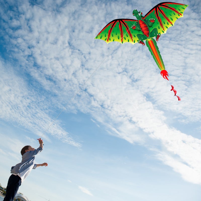 Stereoscopic Huge Kite for Kids and Adults Easy to Fly Kite 100m Single Line String for Beach Park Family Trip Outdoor Games - Image 5