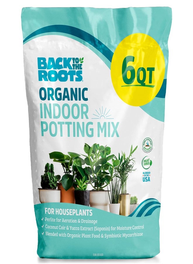 Back to the Roots 100% Organic Indoor Potting Mix (6 Quart), Promotes Healthy Houseplant Growth, Made in The USA - Image 1