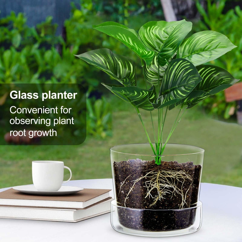 Singhoow 2 Sets 6 Inch Glass Planter with Drainage Hole and Tray Indoor Clear Plant Pots with Saucer Modern Decorative Orchid Glass Pot for Outdoor Flower Plants - Image 3
