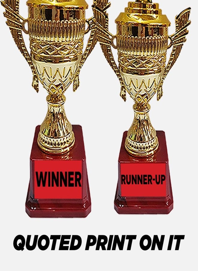 Bareeze Pure Football Tounament Trophy for Winner,Runnerup,Best Goalkeeper,Best Raider and Best Defender - Image 4