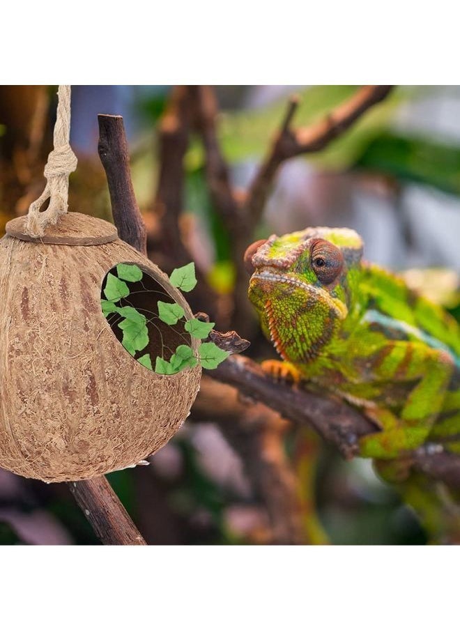 Generic - B&K Leopard Gecko Coconut Husk Hut Reptile Habitat Accessories Hideout Hole Hanging Apply to Amphibians and Small Animals - Image 1