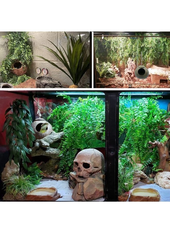 Generic - B&K Leopard Gecko Coconut Husk Hut Reptile Habitat Accessories Hideout Hole Hanging Apply to Amphibians and Small Animals - Image 1