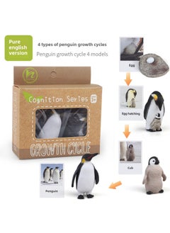 Realistic Simulation Animal Plant Models Toy Collection - Dinosaurs Dragons Unicorns Mermaids Sharks More-Color:PL127-2481 Penguin Growth Cycle + English Card + Color Box