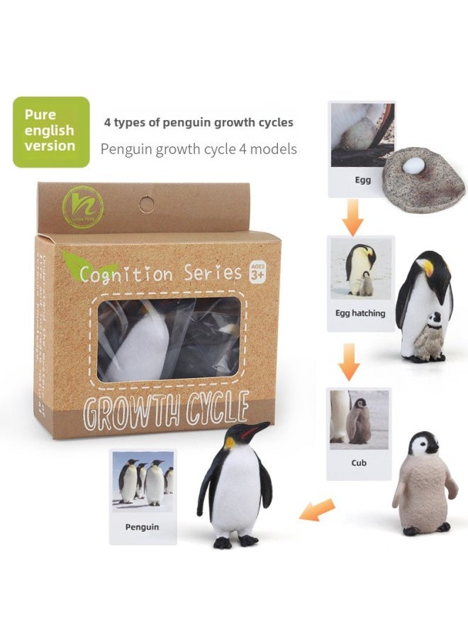 Generic - Realistic Simulation Animal Plant Models Toy Collection - Dinosaurs Dragons Unicorns Mermaids Sharks More-Color:PL127-2481 Penguin Growth Cycle + English Card + Color Box - Image 1