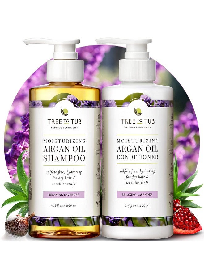 تري تو تيوب مجموعة شامبو وبلسم مرطب خالٍ من الكبريتات للشعر الجاف وفروة الرأس الجافة والتجعد وشامبو وبلسم زيت الأرغان المرطب للنساء والرجال مع خلاصة الصبار العضوية واللافندر الطبيعي بالكامل - Image 1