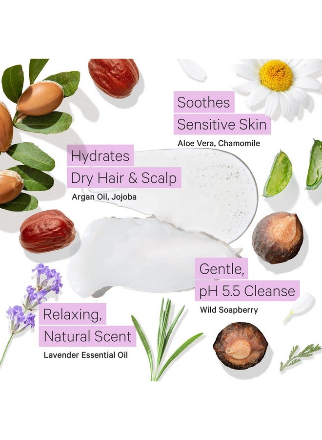 تري تو تيوب مجموعة شامبو وبلسم مرطب خالٍ من الكبريتات للشعر الجاف وفروة الرأس الجافة والتجعد وشامبو وبلسم زيت الأرغان المرطب للنساء والرجال مع خلاصة الصبار العضوية واللافندر الطبيعي بالكامل - Image 3