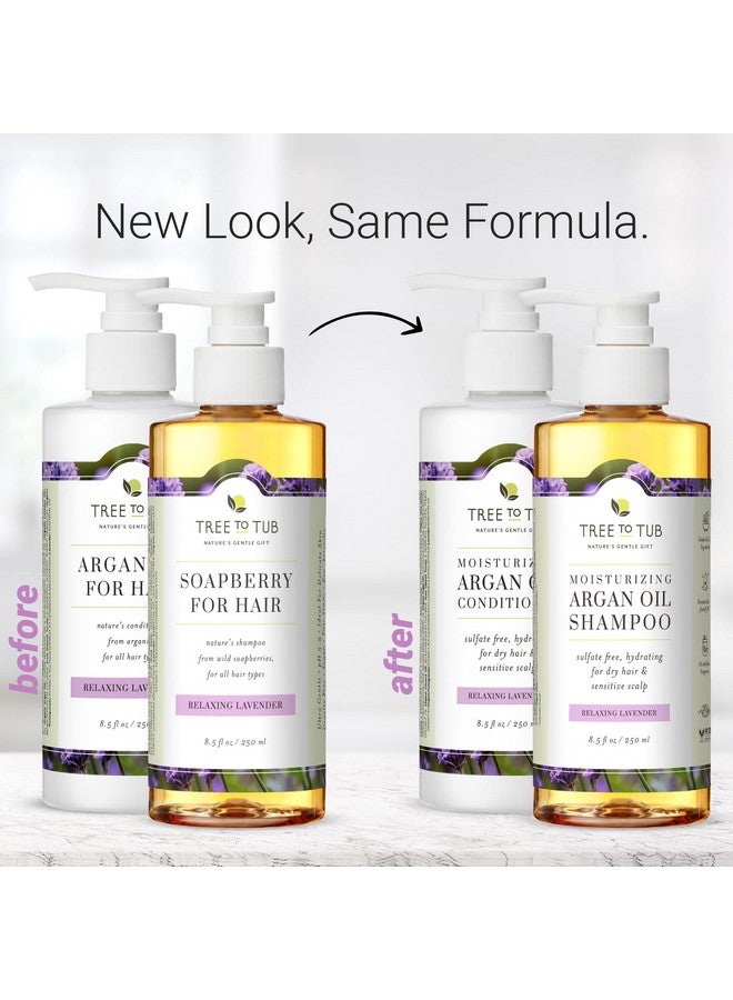 تري تو تيوب مجموعة شامبو وبلسم مرطب خالٍ من الكبريتات للشعر الجاف وفروة الرأس الجافة والتجعد وشامبو وبلسم زيت الأرغان المرطب للنساء والرجال مع خلاصة الصبار العضوية واللافندر الطبيعي بالكامل - Image 4