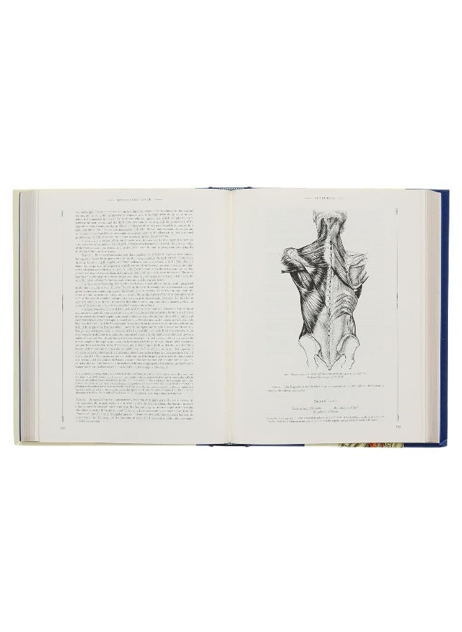 Gray's Anatomy: With Original Illustrations by Henry Carter