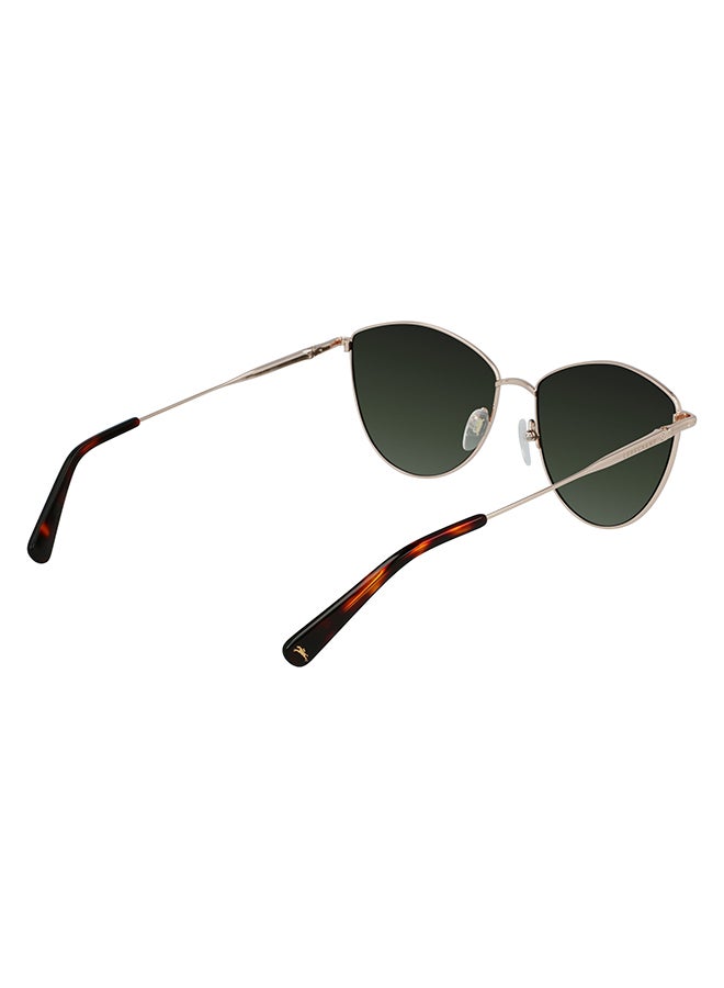 Longchamp نظارة شمسية عين القطة للحماية من الأشعة فوق البنفسجية للنساء - LO155S-719-5816 - مقاس العدسة: 58 ملم  - Image 5