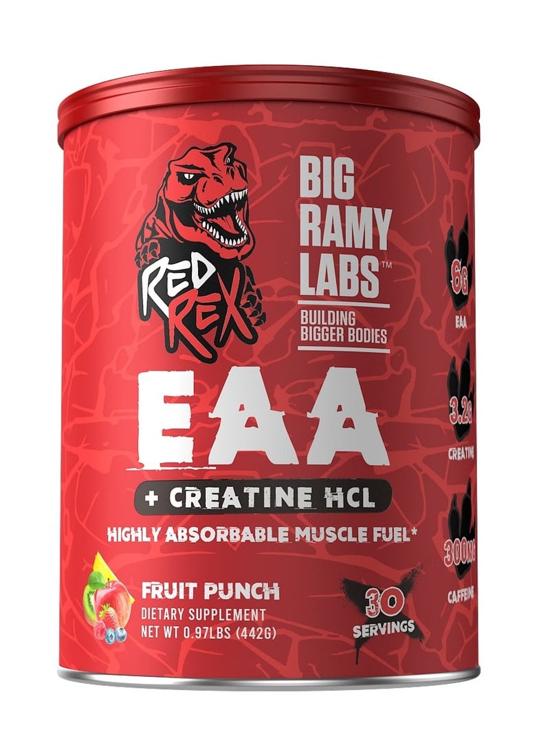 RED REX EAA + Creatine HCL - Fruit Punch  - Image 1