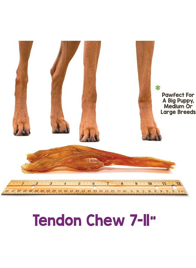 Nature Beef Tendons For Dogs 711" (12 Count)  Long Lasting For Aggressive Chewers & Large Dogs  Natural Beef Jerky Dog Chew Bones  Rawhide Free - Image 4