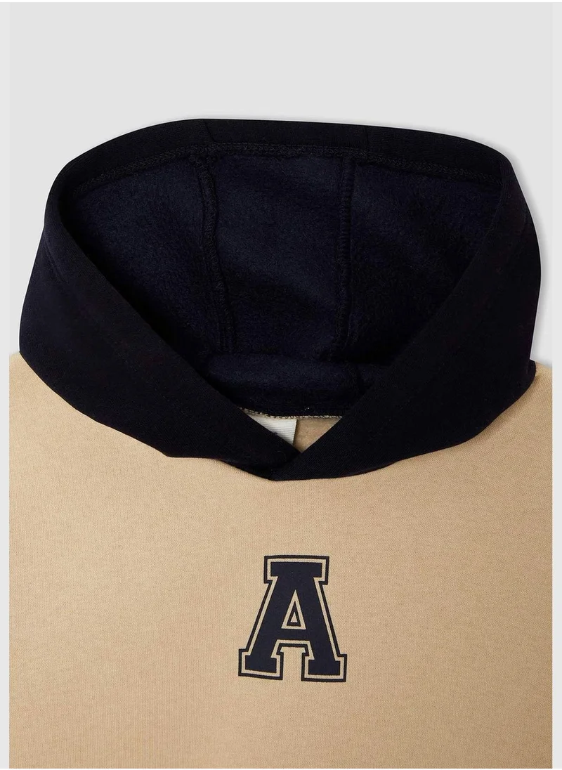 DeFacto Regular Fit Printed Knit Hoodie