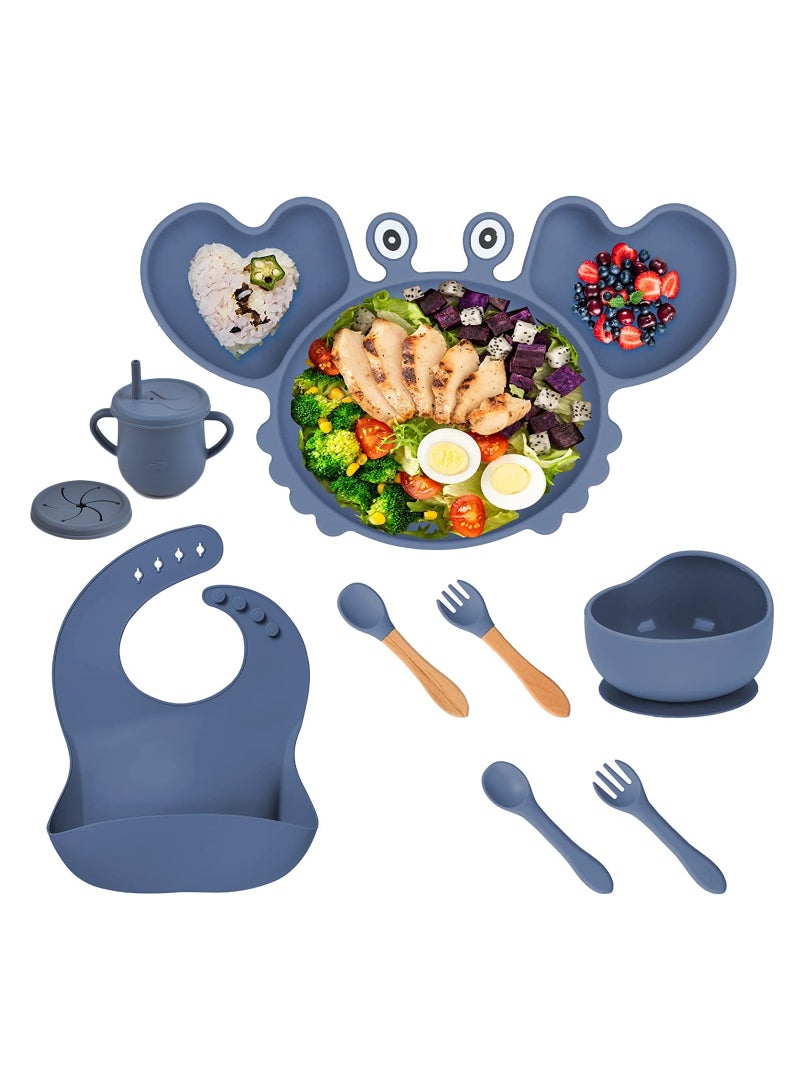 iMissiu Baby Silicone Feeding Set 10Pcs Includes Suction Bowl Plate Spoon Fork Sippy Cup with Straw Lid Infant Toddler Baby Led Weaning Supplies for Daily Use Home and Travel - Image 1