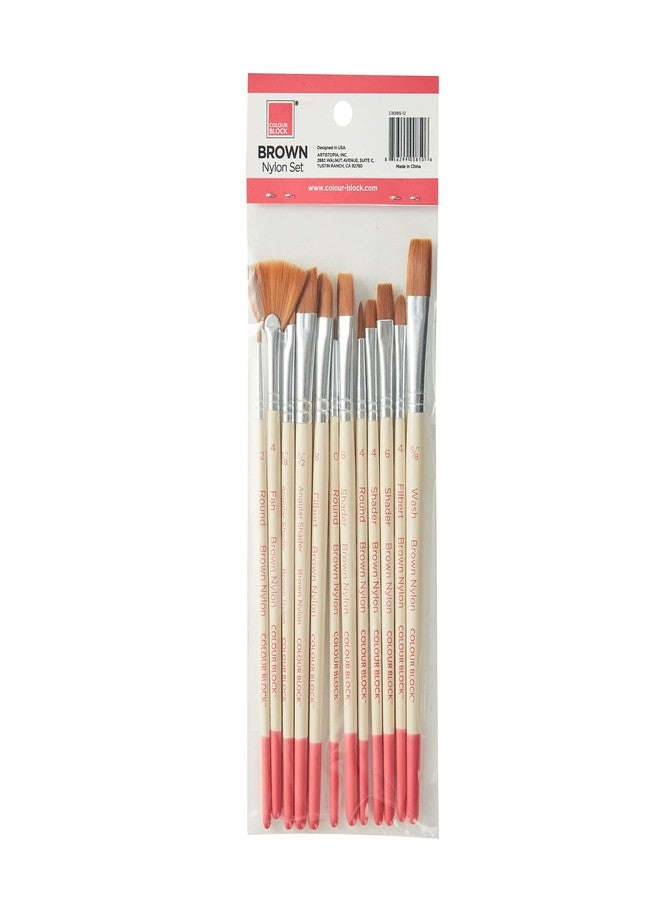 COLOUR BLOCK 12 Pack All Purpose Assorted Nylon Brushes (Brown) I Essentials for Watercolor Paint, Oil Paint Set, Kids School Supplies I Superior Detail Paint Brush Set for All Levels of Experience - Image 3