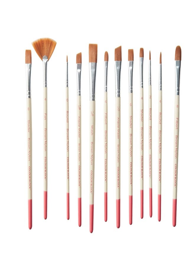 COLOUR BLOCK 12 Pack All Purpose Assorted Nylon Brushes (Brown) I Essentials for Watercolor Paint, Oil Paint Set, Kids School Supplies I Superior Detail Paint Brush Set for All Levels of Experience - Image 2
