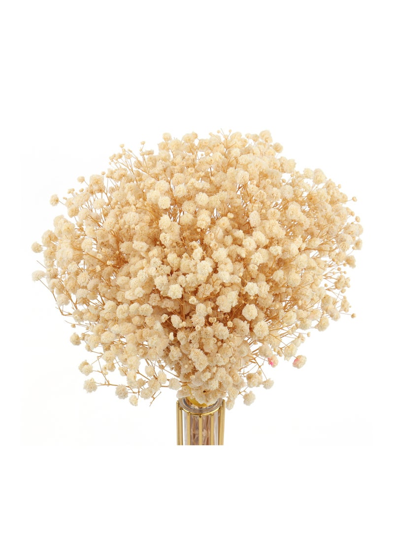 Generic Dried Flowers Babys Breath Bouquet,100% Natural 17.2" 3000+ Ivory White Bundles Gypsophila for Wedding DIY Arrangements Home Decorations Table Vase Dec  - Image 1