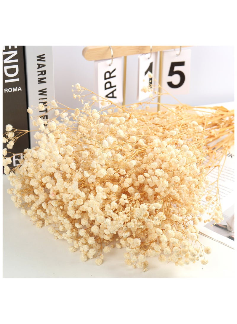 Generic Dried Flowers Babys Breath Bouquet,100% Natural 17.2" 3000+ Ivory White Bundles Gypsophila for Wedding DIY Arrangements Home Decorations Table Vase Dec  - Image 2