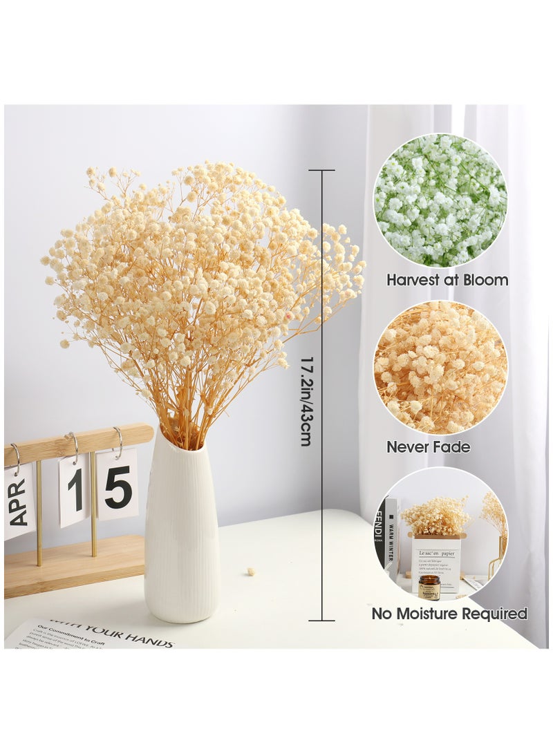 Generic Dried Flowers Babys Breath Bouquet,100% Natural 17.2" 3000+ Ivory White Bundles Gypsophila for Wedding DIY Arrangements Home Decorations Table Vase Dec  - Image 3