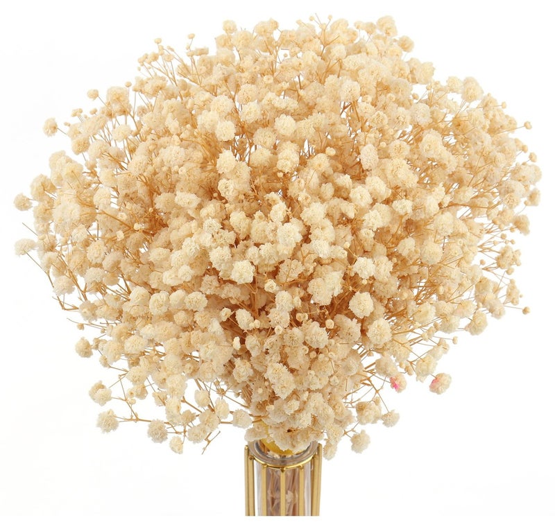 باقة زهور مجففة بيبيز بريث، طبيعية 100% 17.2 انش 3000+ باقة بيضاء عاجية جيبسوفيلا لترتيبات الزفاف وتزيين المنزل والفازة والطاولة، 4 اونصة (بيج) - Image 1