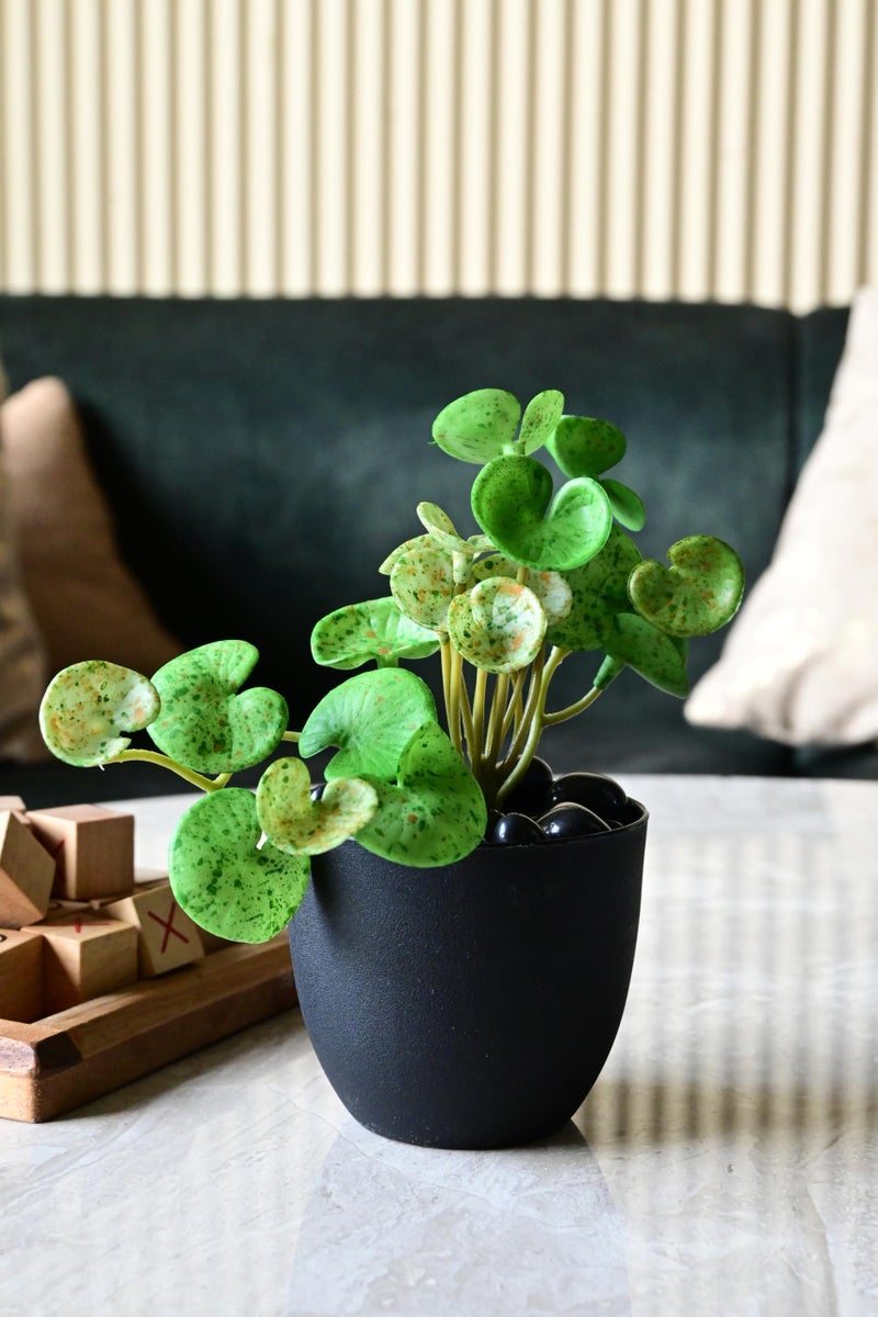 Blooming Floret Polyester Artificial Hydrocotyle Vulgaris Small Plant with Basic Pot for Home Decor, Office, Table Decoration | Natural Looking | Pre-Potted Indoor Plant (Light Green + Dot) - Image 1