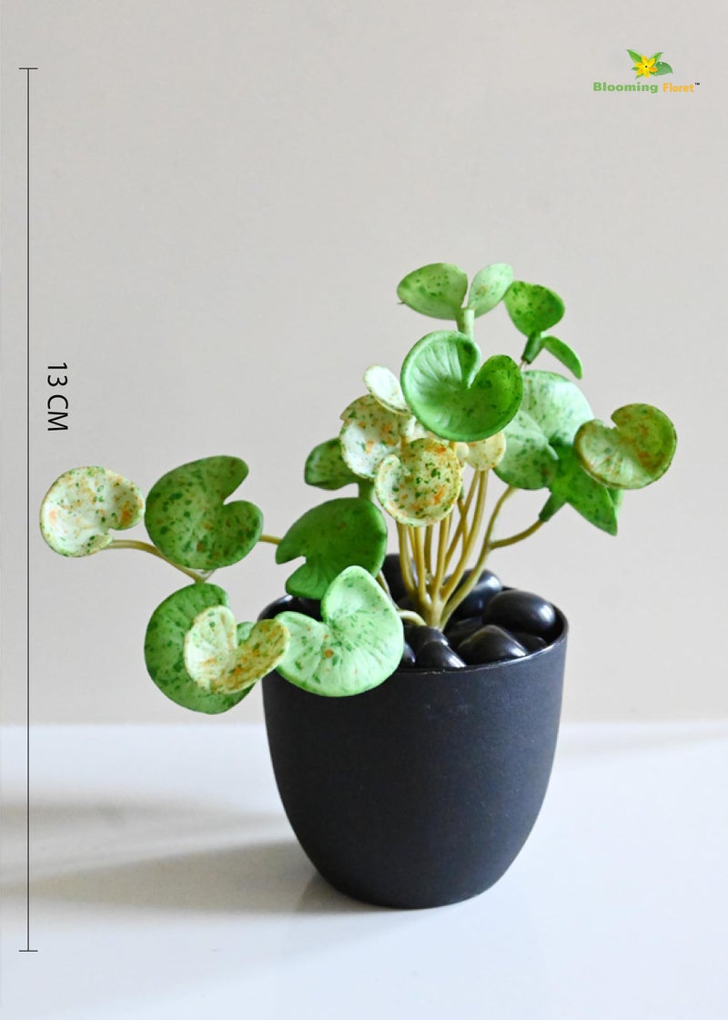 Blooming Floret Polyester Artificial Hydrocotyle Vulgaris Small Plant with Basic Pot for Home Decor, Office, Table Decoration | Natural Looking | Pre-Potted Indoor Plant (Light Green + Dot) - Image 4