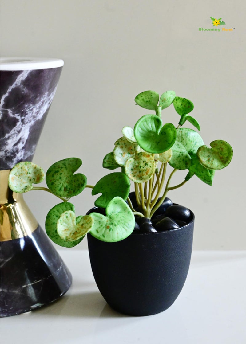 Blooming Floret Polyester Artificial Hydrocotyle Vulgaris Small Plant with Basic Pot for Home Decor, Office, Table Decoration | Natural Looking | Pre-Potted Indoor Plant (Light Green + Dot) - Image 2