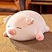 lannery Pig Stuffed Animal Hugging Pillow Soft Fat Pig Plush Toy Gifts for Kids Valentine Christmas Sleeping Eyes 197 - Image 4