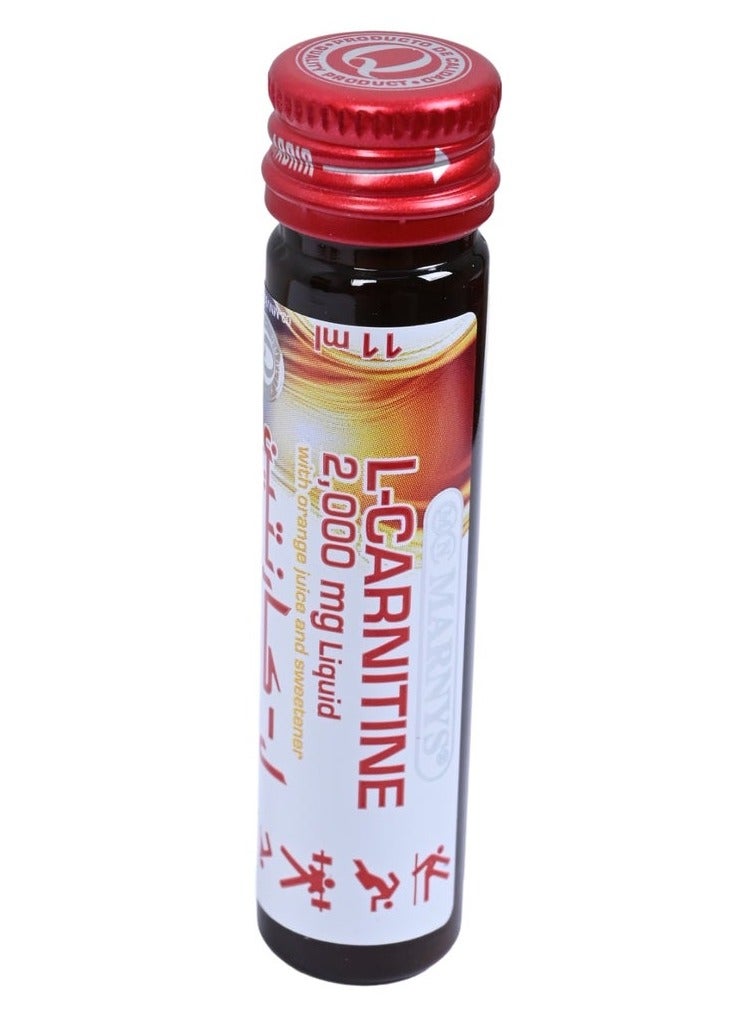 ال كارنيتين  ٢٠٠٠ مجم -  ٢٠ قارورة شراب - view 3