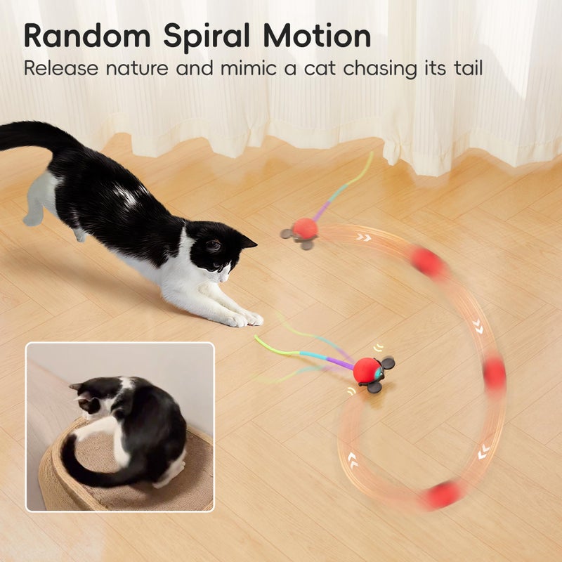 Potaroma Interactive Moving Ball Cat Toys with Fluffy Tail, Chargeable Kitten Toy for Indoor Kitten Exercise, Smart Interactive Cat Rolling Ball, 2 Inches - Image 2