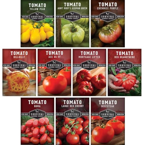 SURVIVAL GARDEN SEEDS Tomato Seeds 10 Variety Pack for Planting - Cherokee Purple, Roma, Cherry, Aunt Ruby's Green, Hillbilly, Mortgage Lifter, Brandywine & More - Non-GMO Heirloom Types- Survival Garden Seeds - Image 1