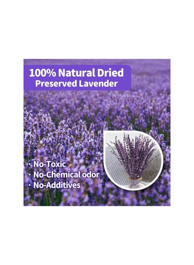The Bros Dried Purple Lavender Flowers Bundle, Dried Preserved Lavender Bouquet 15-17" for Shower Weeding Home Vase Decor, Crafts, Aromatherapy, Fragrance, Fresh Silk Dry Live Plants, 50g(1.76oz) - Image 5