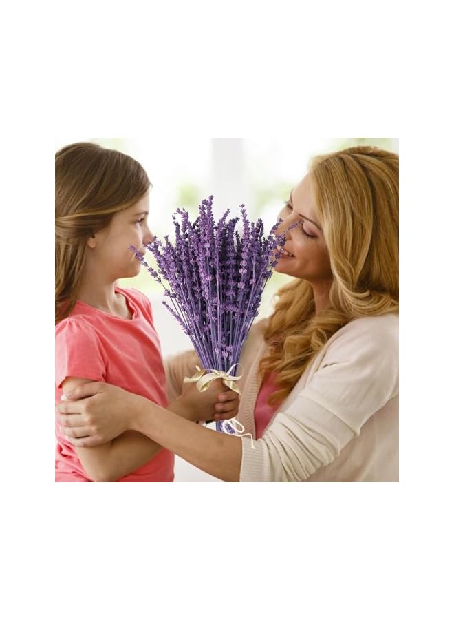 The Bros Dried Purple Lavender Flowers Bundle, Dried Preserved Lavender Bouquet 15-17" for Shower Weeding Home Vase Decor, Crafts, Aromatherapy, Fragrance, Fresh Silk Dry Live Plants, 50g(1.76oz) - Image 2