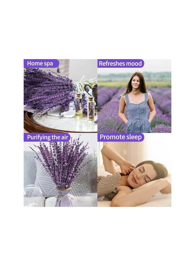 The Bros Dried Purple Lavender Flowers Bundle, Dried Preserved Lavender Bouquet 15-17" for Shower Weeding Home Vase Decor, Crafts, Aromatherapy, Fragrance, Fresh Silk Dry Live Plants, 50g(1.76oz) - Image 4