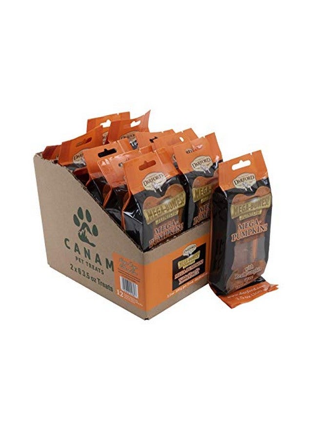 دارفورد عظمة اليقطين الضخمة للصغار - Image 3