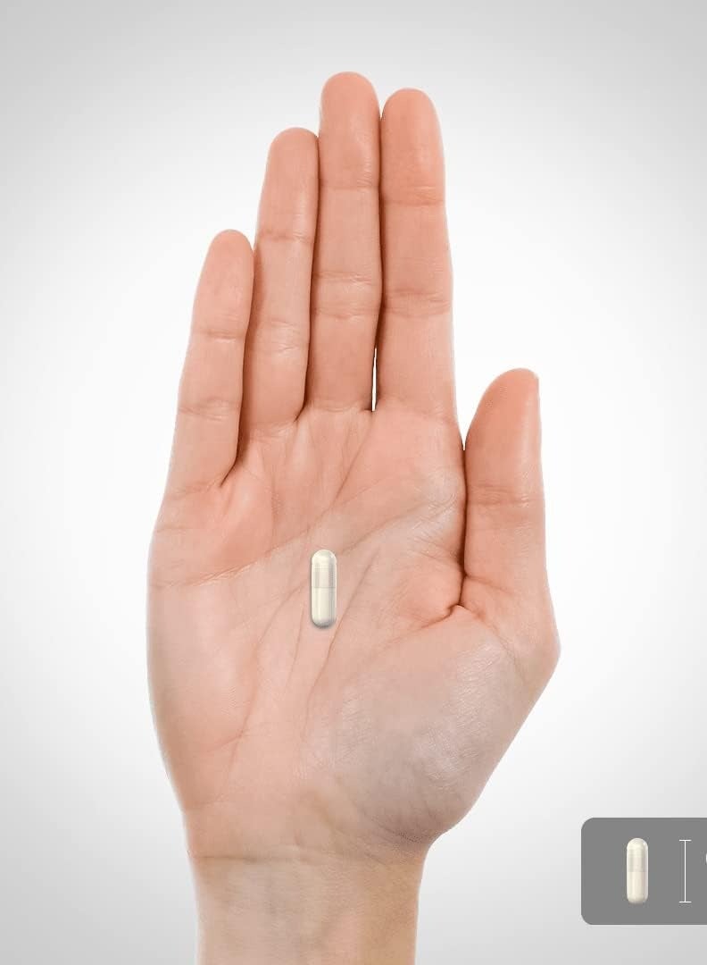 Piping Rcok Piping Rock Pueraria Mirifica Capsules 1000mg | 120 Count | Concentrated Extract | Herbal Supplement | Gluten Free, Non-GMO - Image 4