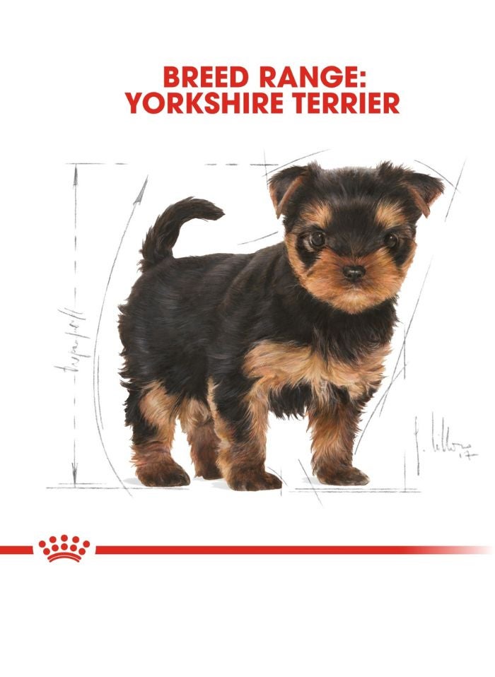 ROYAL CANIN Breed Health Nutrition Yorkshire Puppy 500g - Image 4