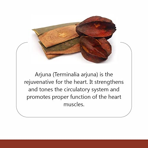 Jain Arjun Chaal (Terminalia Arjuna) Powder- 400 g - Image 3