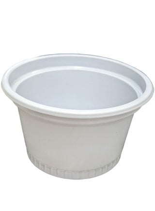Plates Boxes With Lids - 50PCS - pzsku/Z4CF048CA91CF092DCB3DZ/45/_/1708957415/238fa055-a2e6-498b-a820-e010570b38a6