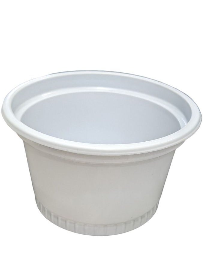 Plates Boxes With Lids - 50PCS