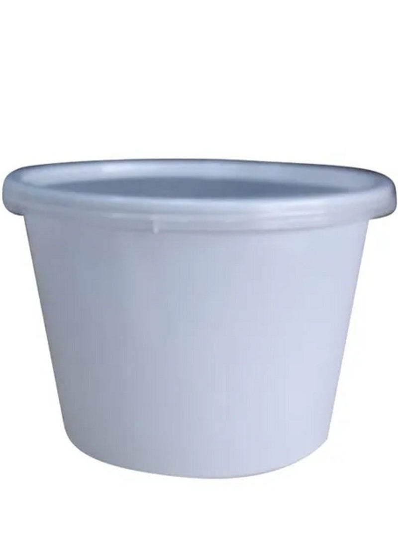 Plates Boxes With Lids - 50PCS