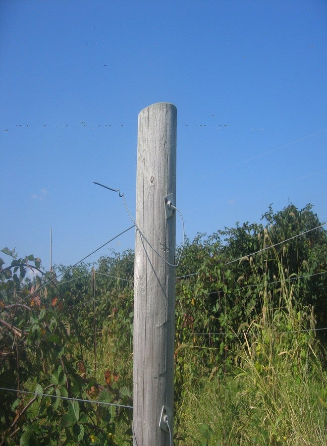 LinkEZ Pack of 10, One Way Anchor Wire Vise for 8~11GA - Image 3