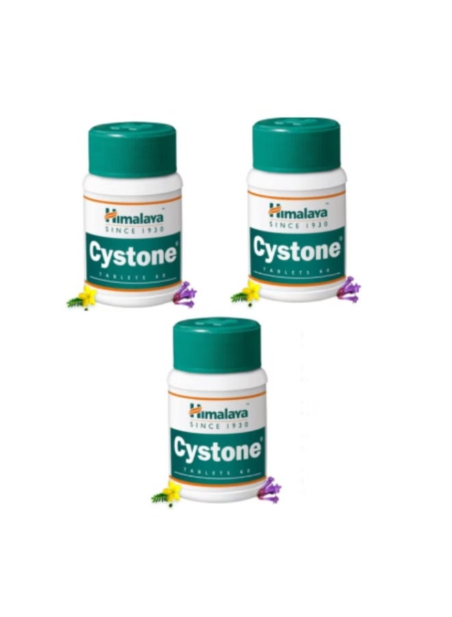 Himalaya Cystone Tablets 60’s Pack of 3 | Herbal Support for Kidney & Urinary Health - Image 1