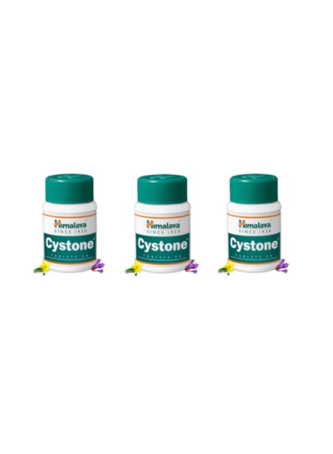Himalaya Cystone Tablets 60’s Pack of 3 | Herbal Support for Kidney & Urinary Health - Image 2