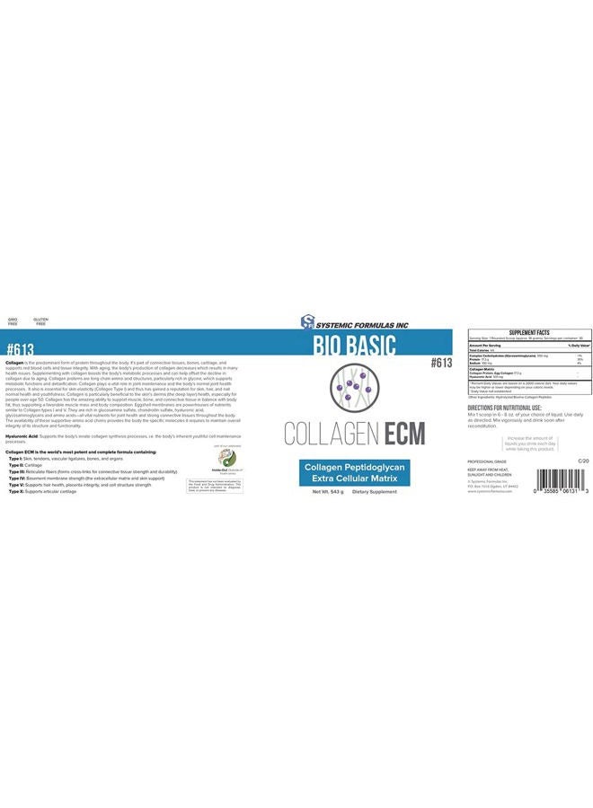 Systemic Formulas Collagen ECM #613 - Image 2