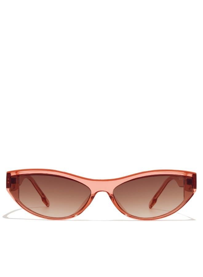 بلاك أوت كاليبسو - Image 1