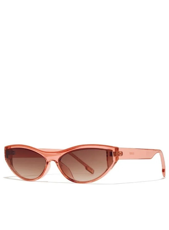 Blackout BlackOut CALYPSO