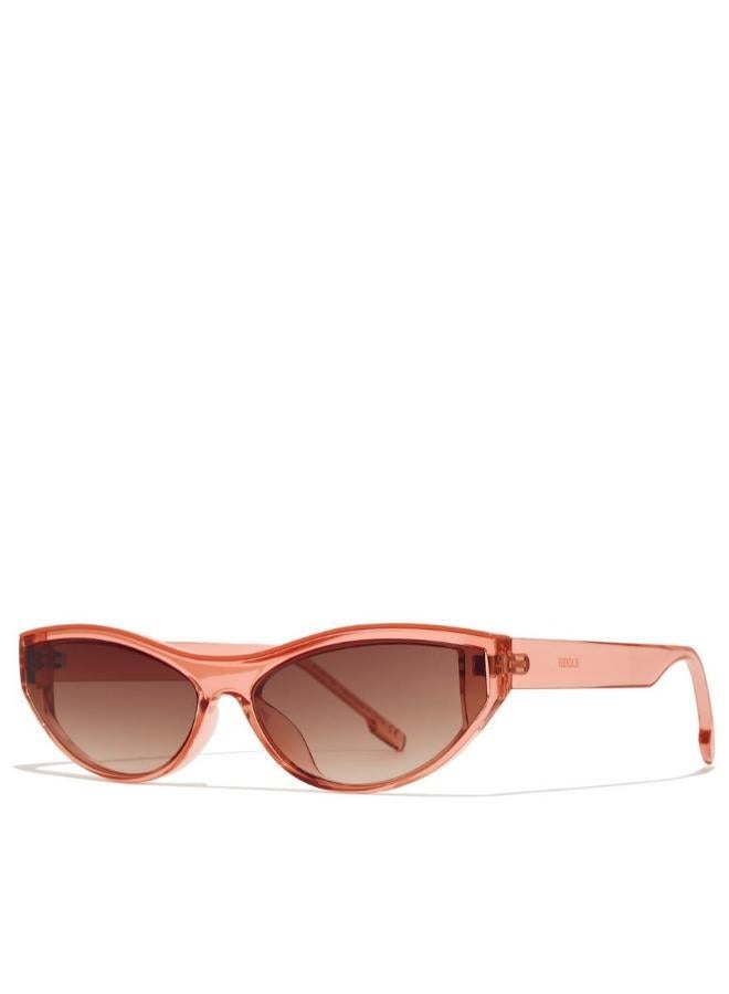 بلاك أوت كاليبسو - Image 2